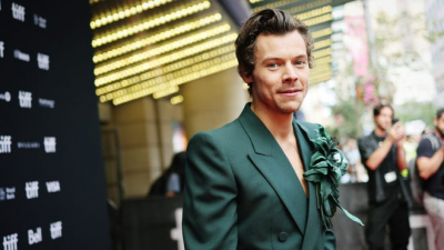 Obsession Behind Bars: Harry Styles Fan Receives Prison Sentence for Stalking Grammy-Winning Singer, According to Reports