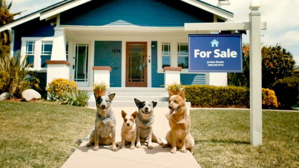 Zillow&#039;s Response to &#039;Bluey&#039; Episode &#039;The Sign&#039;: Embracing Change as a Positive Force for Families