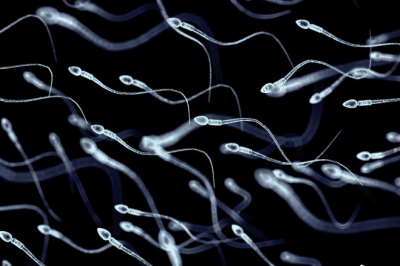Unlocking Fertility: The Rising Trend of Male Sperm Evaluation - Is a Semen Analysis Right for You?